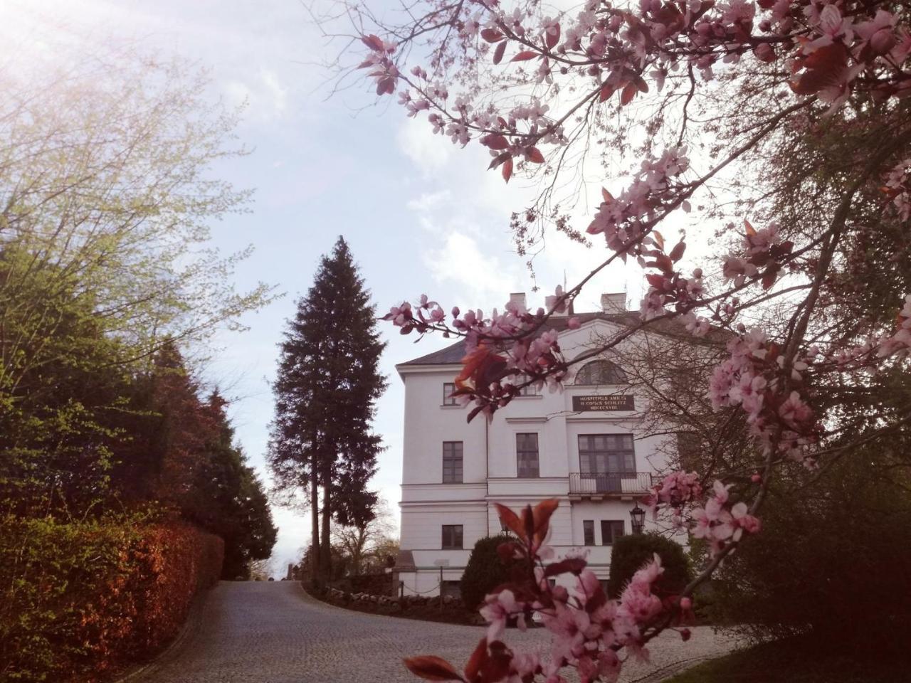 Schlosshotel Burg Schlitz Hohen Demzin Exterior foto